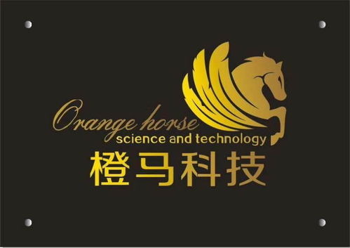 惠州市橙馬網絡科技